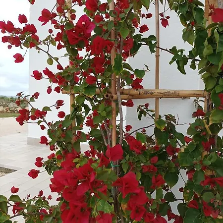 Susca - Sul Mare *